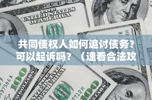 济南共同债权人如何追讨债务？可以起诉吗？（速看合法攻略）